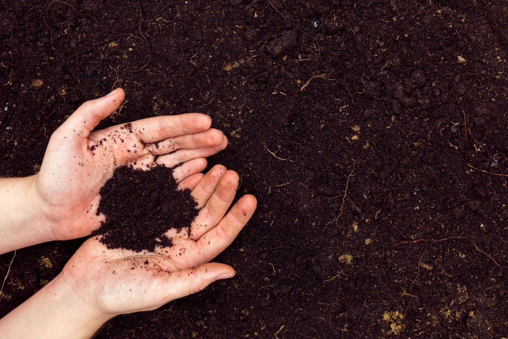 Importance of Soil Quality